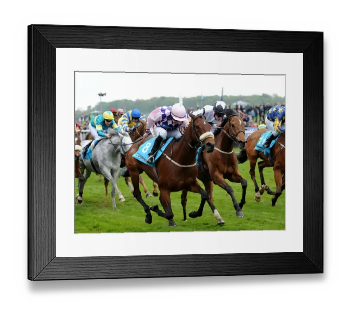 Framed Print : Easy Terms Framed Print : Easy Terms