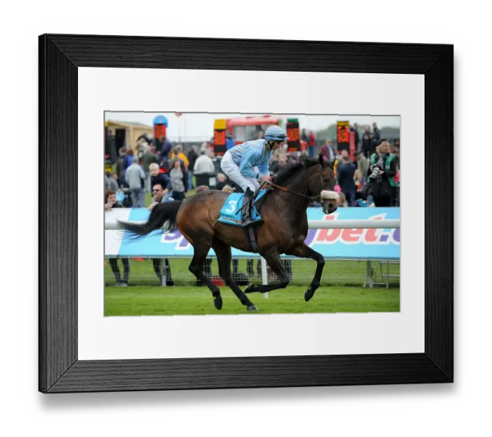 Framed Print : Blue Bajan Framed Print : Blue Bajan