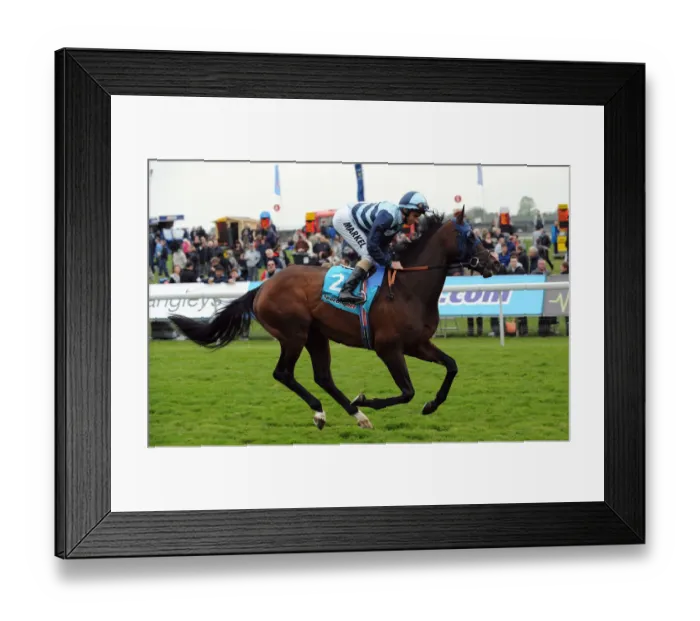 Framed Print : Arctic Cosmos Framed Print : Arctic Cosmos
