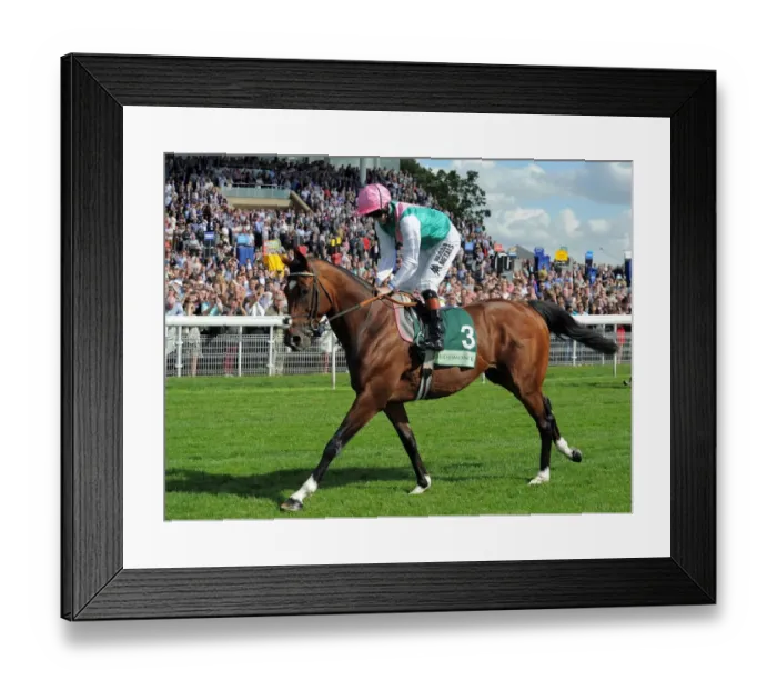 Framed Print : Frankel With Jockey Tom Queally Framed Print : Frankel With Jockey Tom Queally
