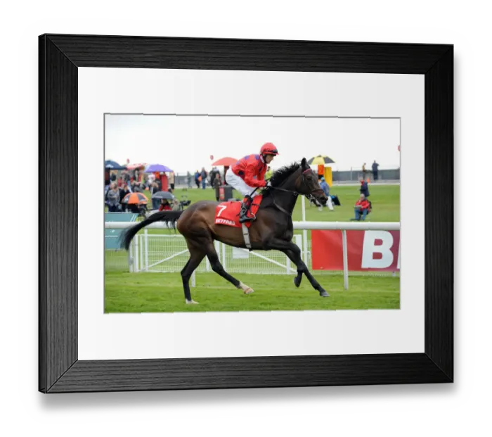 Framed Print : Mohedian Lady Framed Print : Mohedian Lady