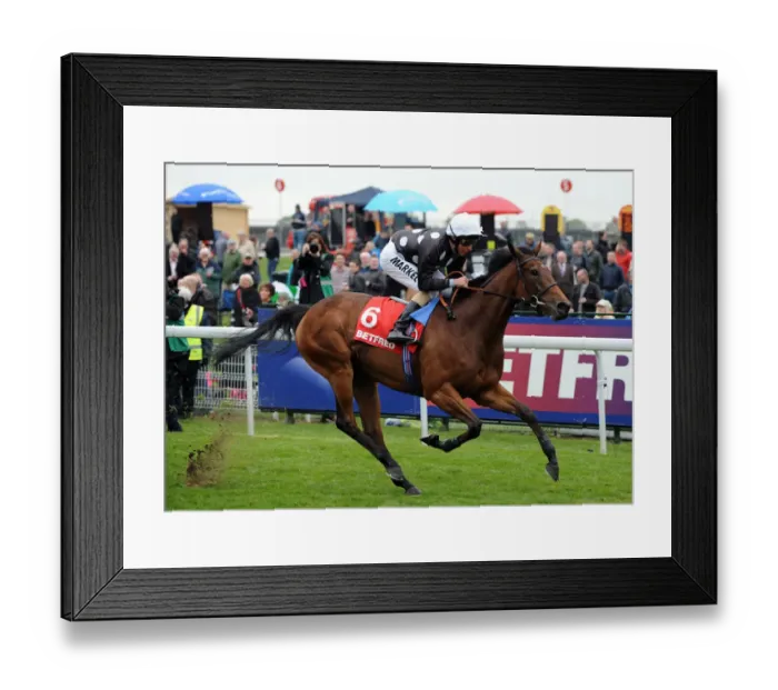 Framed Print : Izzi Top Ridden By William Buick Dante Festival Framed Print : Izzi Top Ridden By William Buick Dante Festival