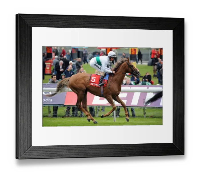Framed Print : Fencing Ridden By William Buick Dante Festival Framed Print : Fencing Ridden By William Buick Dante Festival