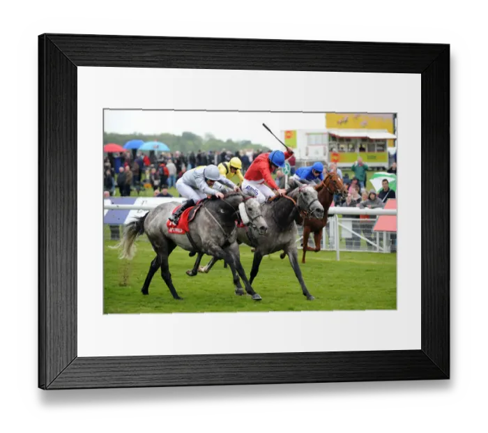 Framed Print : Prince Of Johanne & Fury Framed Print : Prince Of Johanne & Fury