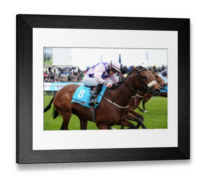 Framed Print : Easy Terms Framed Print : Easy Terms