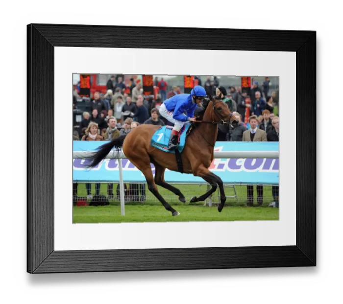Framed Print : Be Fabulous Framed Print : Be Fabulous