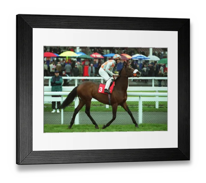 Framed Print : Nicobar Ridden By J.Fortune Doncaster Lincoln Festival Doncaster Framed Print : Nicobar Ridden By J.Fortune Doncaster Lincoln Festival Doncaster