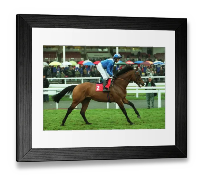 Framed Print : Alberahin Ridden By W.Supple Doncaster Lincoln Festival Doncaster Framed Print : Alberahin Ridden By W.Supple Doncaster Lincoln Festival Doncaster