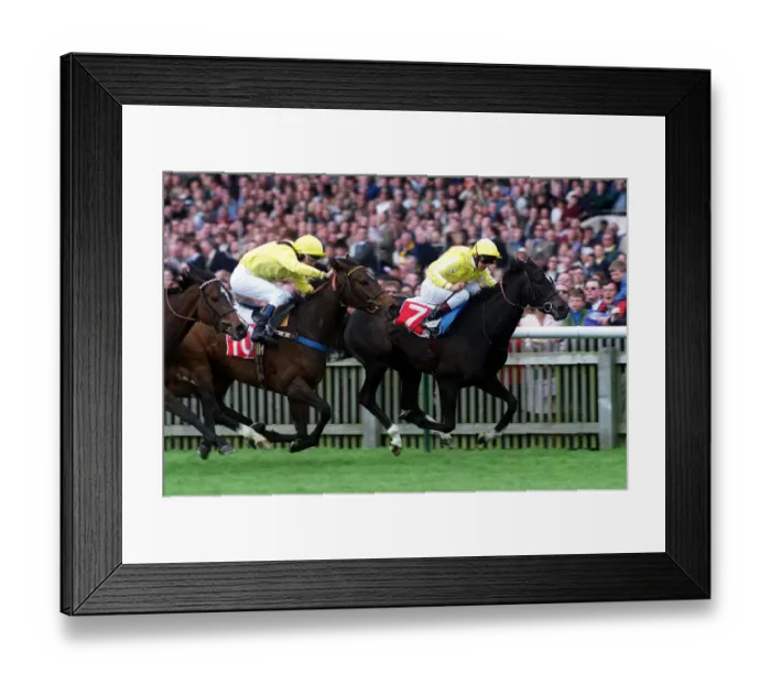 Framed Print : Mot Juste Ridden By L.Dettori Wins Davison Pretty Polly Sks Newmarket Framed Print : Mot Juste Ridden By L.Dettori Wins Davison Pretty Polly Sks Newmarket