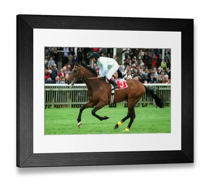 Framed Print : Curtain Time Framed Print : Curtain Time
