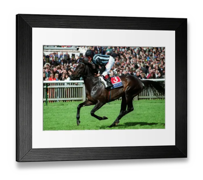 Framed Print : Frenchmans Bay Framed Print : Frenchmans Bay