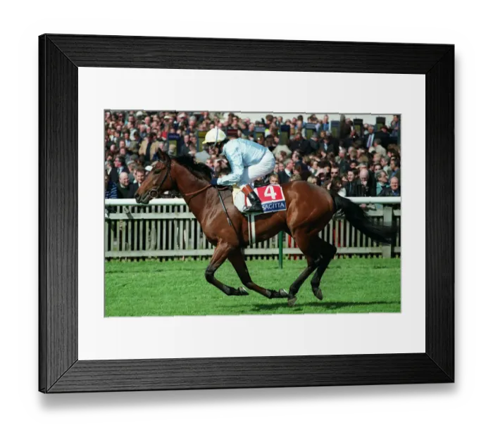 Framed Print : Golan Ridden By K.Fallon Newmarket Guineas Festival Newmarket Framed Print : Golan Ridden By K.Fallon Newmarket Guineas Festival Newmarket