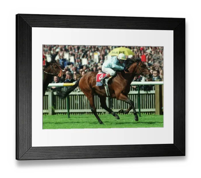 Framed Print : Golan Ridden By K.Fallon Wins The 2000 Guineas Newmarket Framed Print : Golan Ridden By K.Fallon Wins The 2000 Guineas Newmarket
