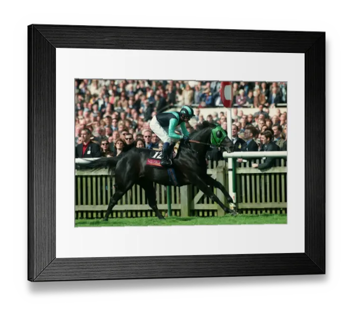 Framed Print : Rushcutter Bay Wins Framed Print : Rushcutter Bay Wins
