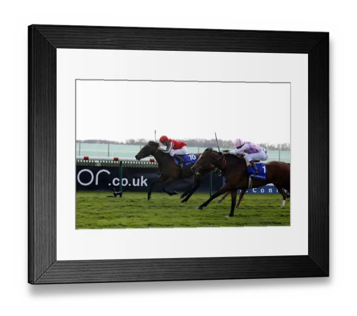 Framed Print : Scarlet Runner & Sander Camillo Framed Print : Scarlet Runner & Sander Camillo