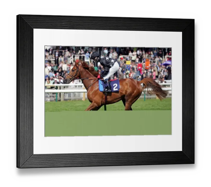 Framed Print : Broomielaw Ridden By Jamie Spencer, Sir Alex Fergusons Horse Framed Print : Broomielaw Ridden By Jamie Spencer, Sir Alex Fergusons Horse