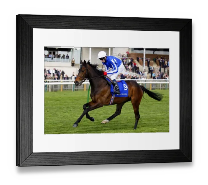 Framed Print : Pretty Majestic Framed Print : Pretty Majestic