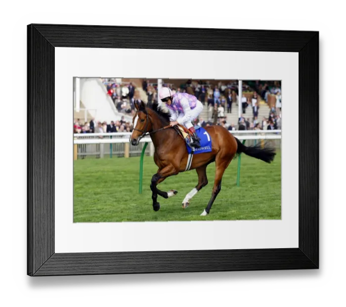 Framed Print : Sander Camillo Framed Print : Sander Camillo