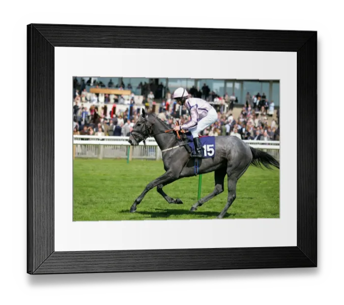 Framed Print : Rose Row Ridden By Vince Slatery Newmarket Craven Meeting 2007 Rowley Mile Course Framed Print : Rose Row Ridden By Vince Slatery Newmarket Craven Meeting 2007 Rowley Mile Course