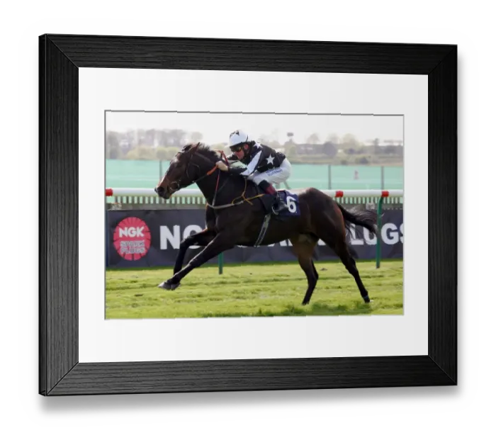 Framed Print : Spirit Of Sharjah Framed Print : Spirit Of Sharjah