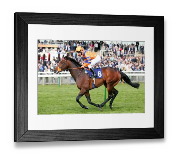 Framed Print : Tobosa Ridden By Kerrin Mcevoy Newmarket Craven Meeting 2007 Rowley Mile Course Framed Print : Tobosa Ridden By Kerrin Mcevoy Newmarket Craven Meeting 2007 Rowley Mile Course