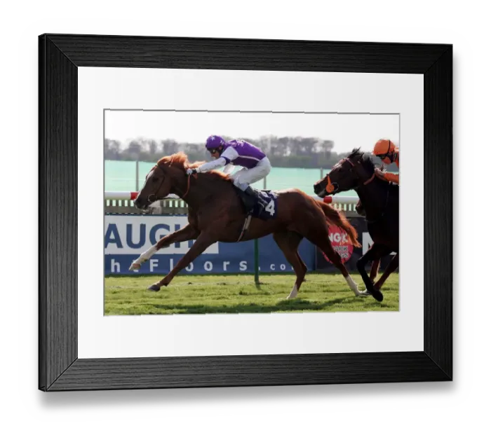 Framed Print : Prime Defender Framed Print : Prime Defender