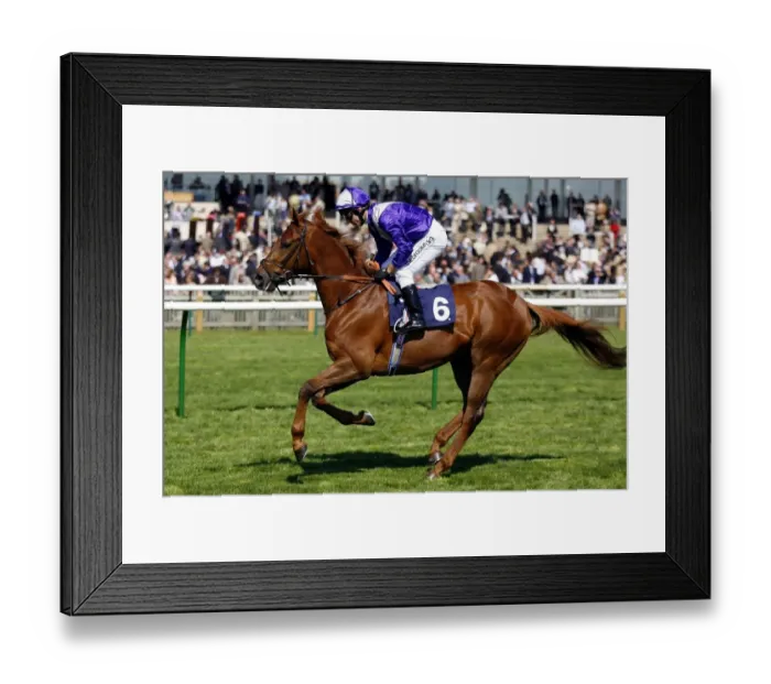 Framed Print : Sky Masterson Framed Print : Sky Masterson