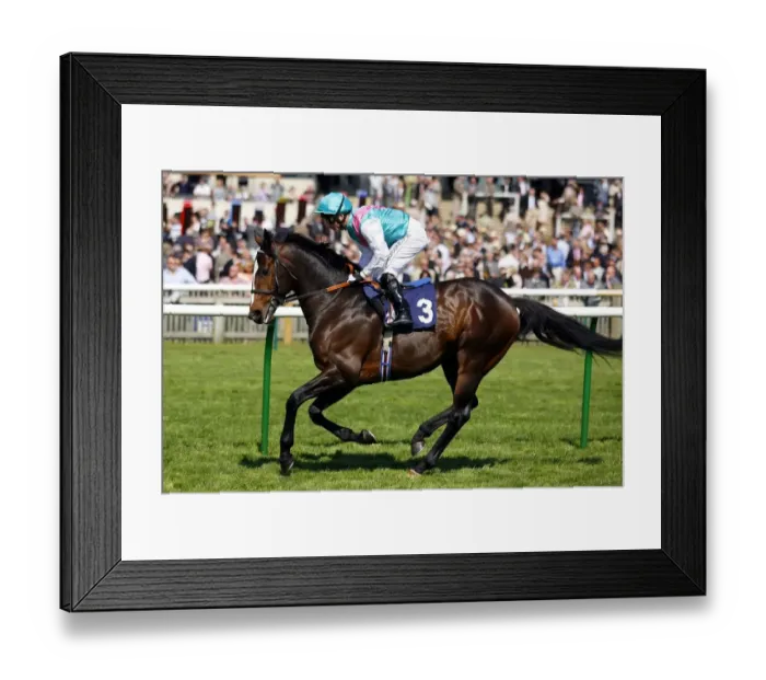 Framed Print : Cheeky Jack Framed Print : Cheeky Jack