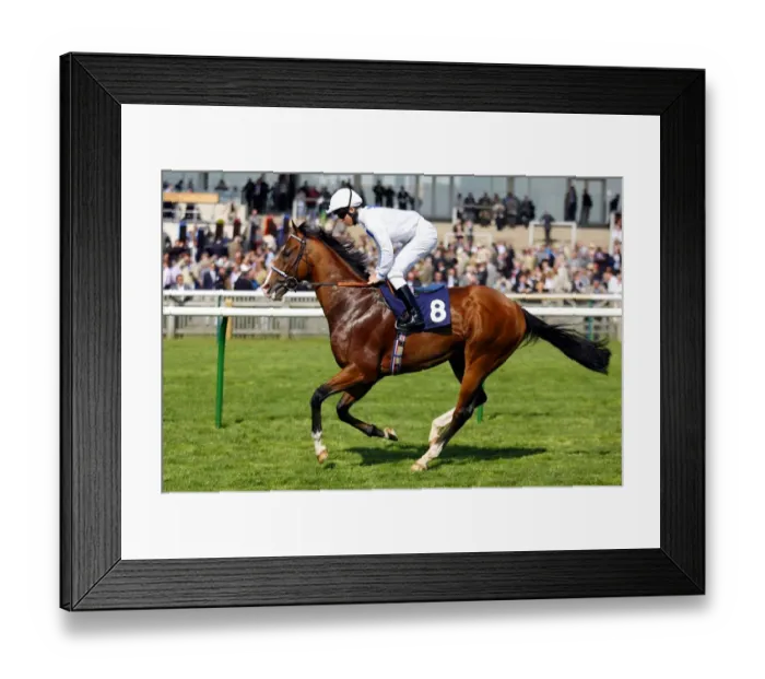 Framed Print : Excusez Moi Framed Print : Excusez Moi