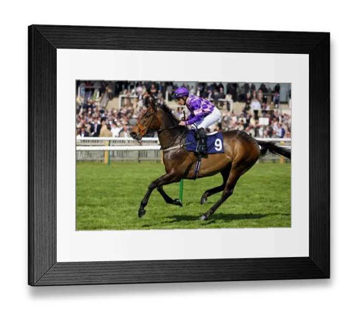 Framed Print : Fire Up The Band Framed Print : Fire Up The Band
