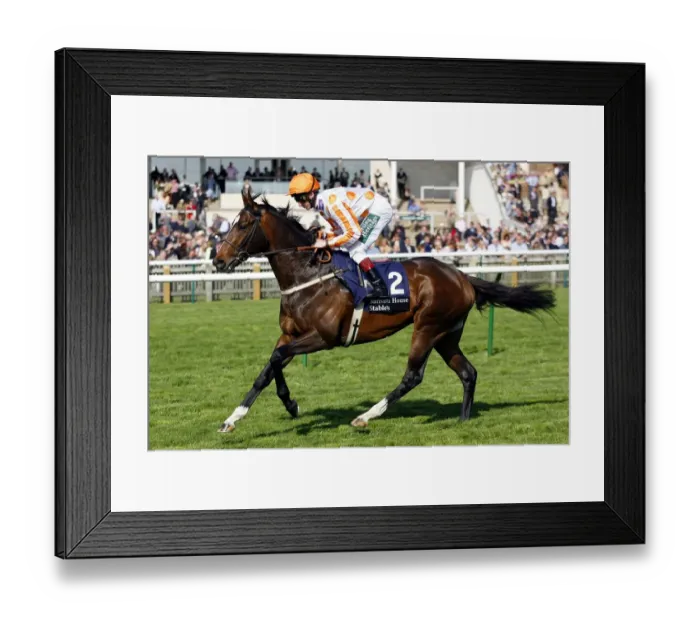 Framed Print : Big Robert Framed Print : Big Robert