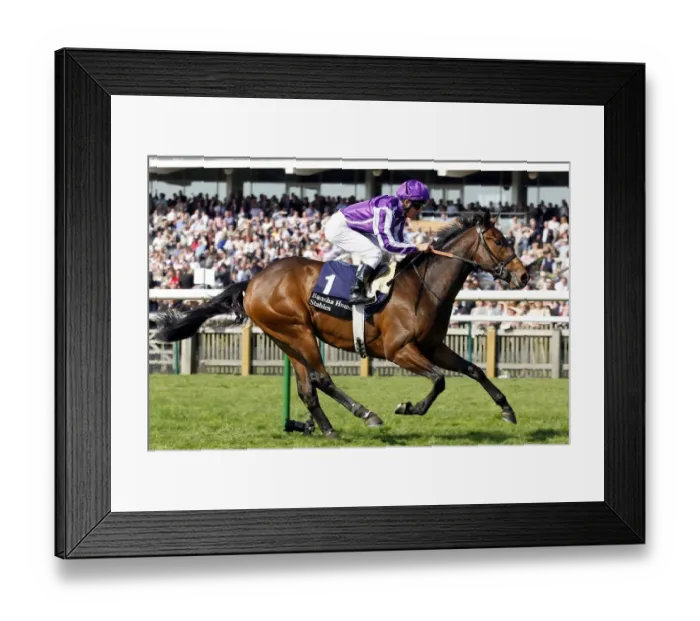 Framed Print : Adagio Ridden By Kerrin Mcevoy Newmarket Craven Meeting 2007 Rowley Mile Course Framed Print : Adagio Ridden By Kerrin Mcevoy Newmarket Craven Meeting 2007 Rowley Mile Course