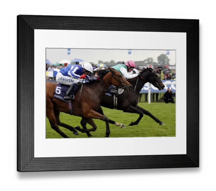 Framed Print : Passage Of Time Ahead Of Sweet Lilly