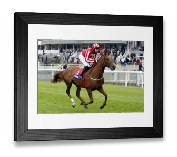 Framed Print : Smart Instinct Framed Print : Smart Instinct