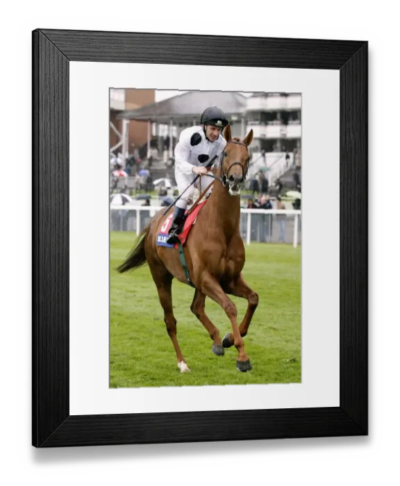 Framed Print : Tredegar Ridden By Seb Sanders May Festival Meeting York 2007 York Racecourse Framed Print : Tredegar Ridden By Seb Sanders May Festival Meeting York 2007 York Racecourse