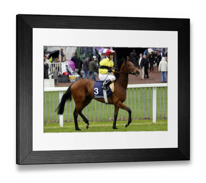 Framed Print : Shorthand Ridden By Kerrin Mcevoy May Festival Meeting York 2007 York Racecourse Framed Print : Shorthand Ridden By Kerrin Mcevoy May Festival Meeting York 2007 York Racecourse