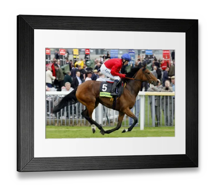Framed Print : Portal Ridden By Jamie Spencer The May Festival York The Knavesmire Framed Print : Portal Ridden By Jamie Spencer The May Festival York The Knavesmire
