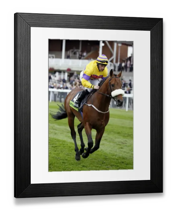 Framed Print : Prince Golan Framed Print : Prince Golan