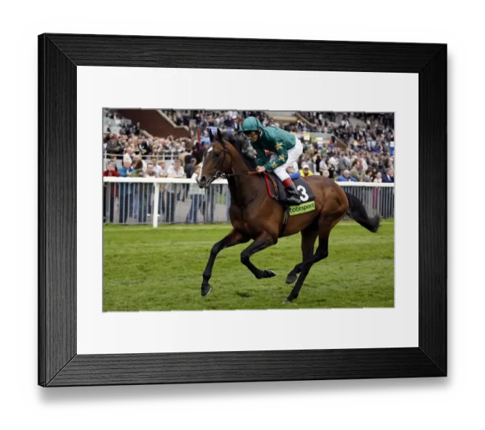 Framed Print : Authorized Framed Print : Authorized