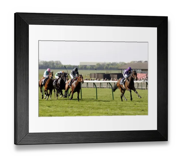Framed Print : Adagio Ahead Of Sonny Red Framed Print : Adagio Ahead Of Sonny Red