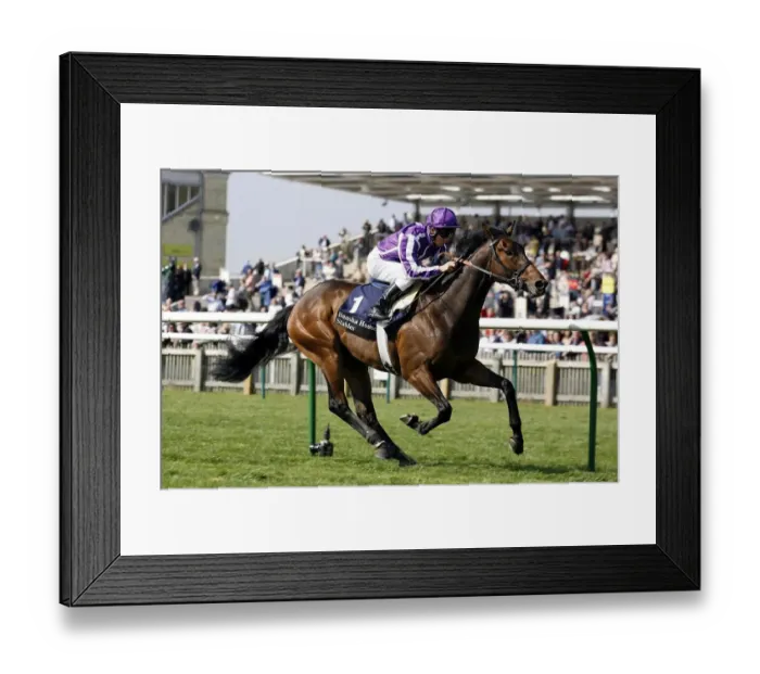 Framed Print : Adagio Ridden By Kerrin Mcevoy Wins