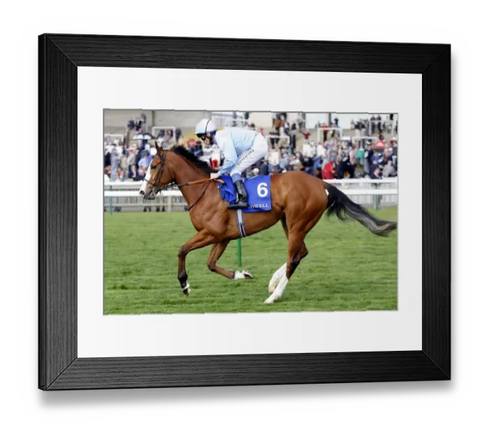 Framed Print : Kompete Ridden By Dane O Neil Newmarket Craven Meeting 2007 Rowley Mile Course Framed Print : Kompete Ridden By Dane O Neil Newmarket Craven Meeting 2007 Rowley Mile Course