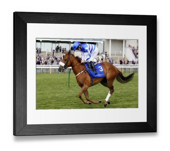 Framed Print : Blue Rocket Framed Print : Blue Rocket