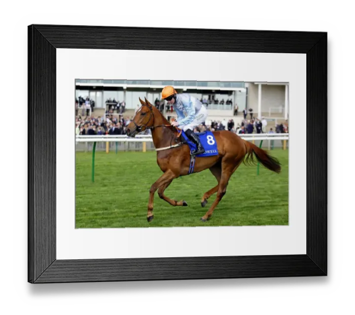 Framed Print : Precocious Star Framed Print : Precocious Star
