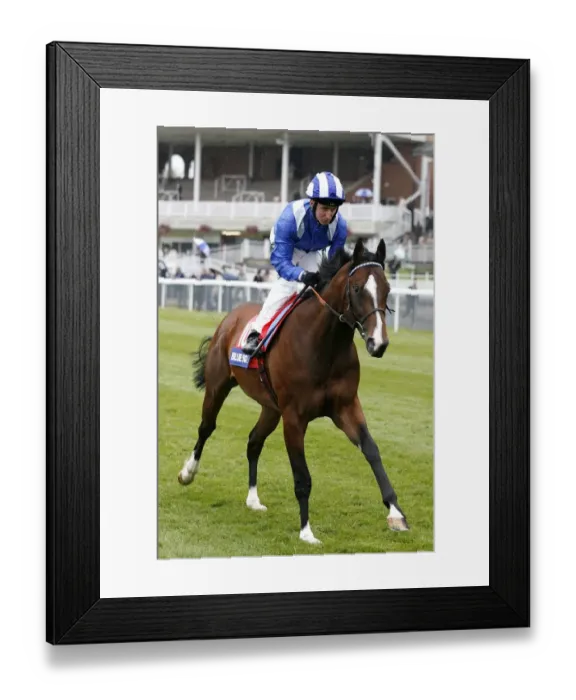 Framed Print : Shmookh Ridden By Martin Dwyer May Festival Meeting York 2007 York Racecourse Framed Print : Shmookh Ridden By Martin Dwyer May Festival Meeting York 2007 York Racecourse