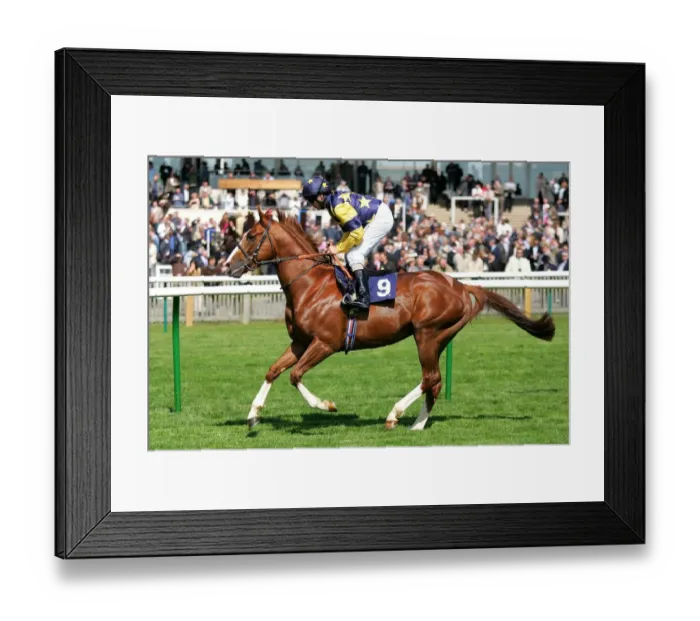 Framed Print : Spice Route Framed Print : Spice Route