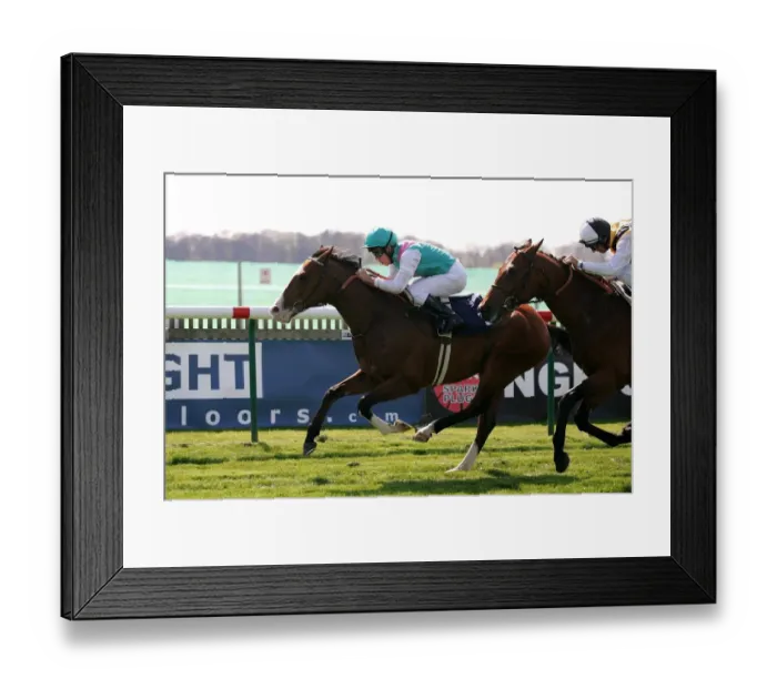 Framed Print : Arabian Gulf Framed Print : Arabian Gulf