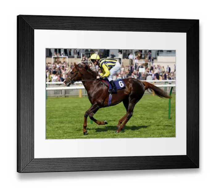 Framed Print : Assertive Ridden By Dane O Neill Newmarket Craven Meeting 2007 Rowley Mile Course Framed Print : Assertive Ridden By Dane O Neill Newmarket Craven Meeting 2007 Rowley Mile Course