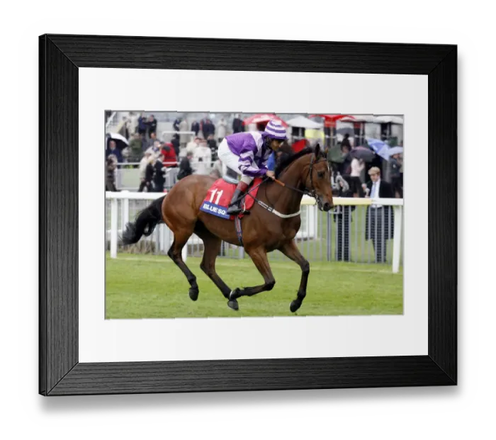 Framed Print : Musca Ridden By Royston Ffrench May Festival Meeting York 2007 York Racecourse Framed Print : Musca Ridden By Royston Ffrench May Festival Meeting York 2007 York Racecourse