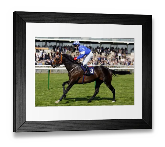 Framed Print : Quito Ridden By Jamie Spencer Newmarket Craven Meeting 2007 Rowley Mile Course Framed Print : Quito Ridden By Jamie Spencer Newmarket Craven Meeting 2007 Rowley Mile Course